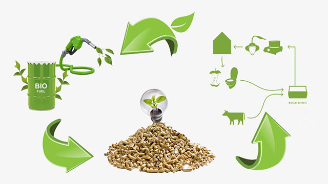 BIOMASS/BIOFUEL